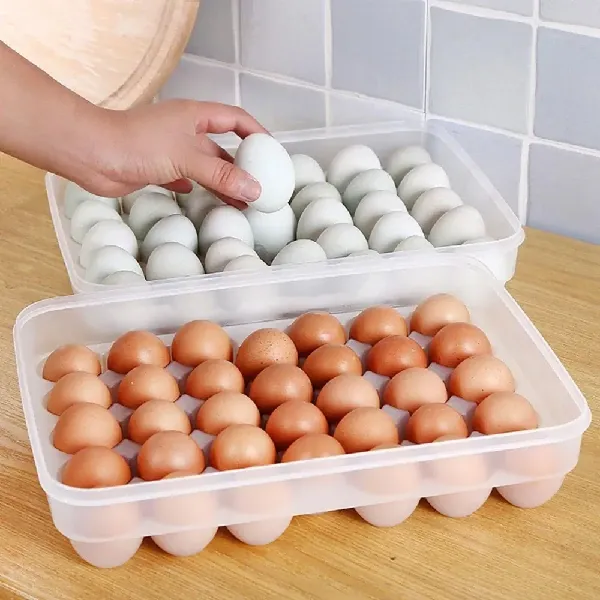 30 grid egg storage box